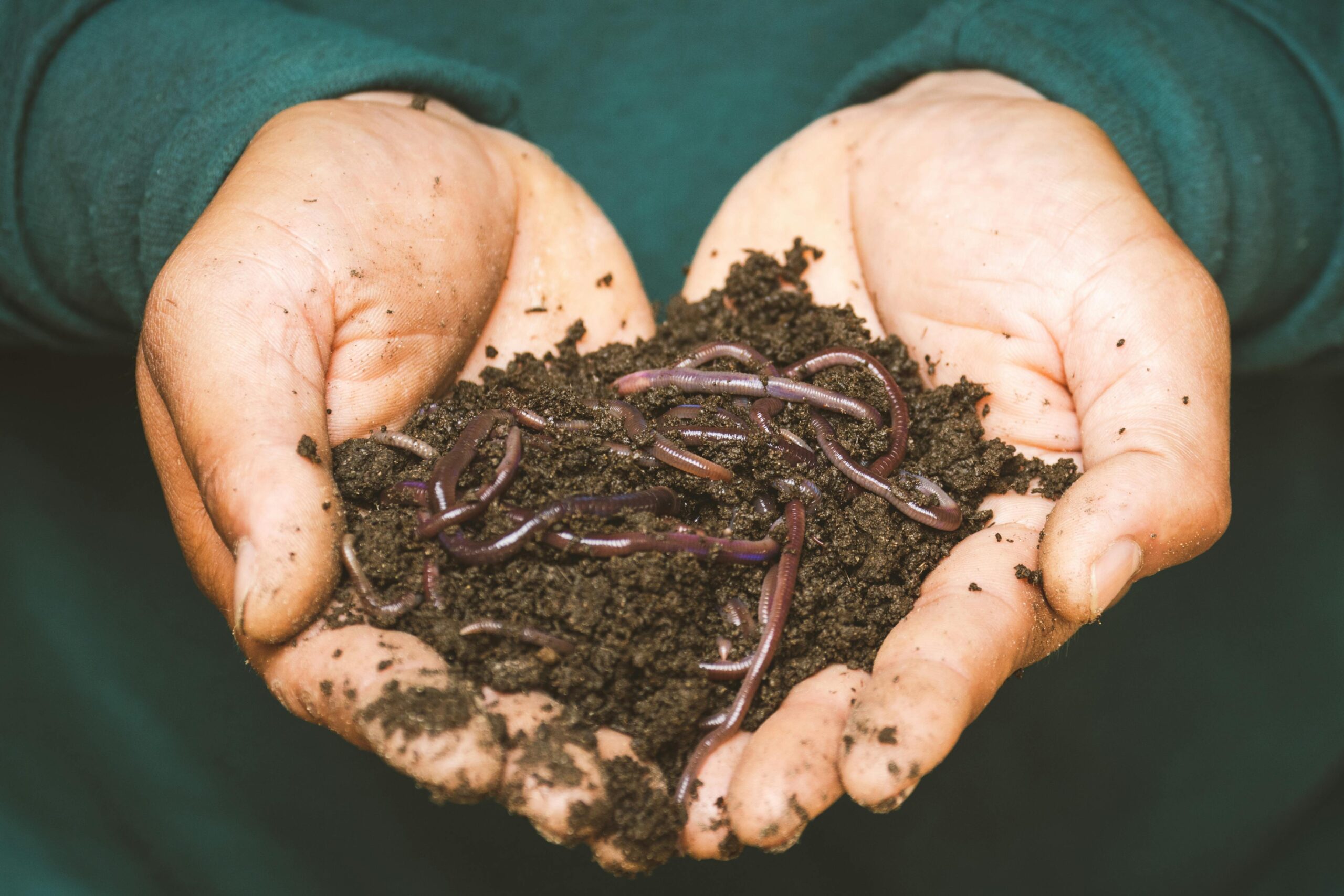 Vermicompost & Soil Products
