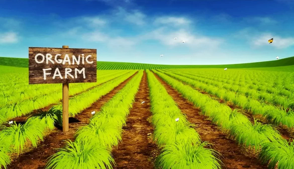 Organic Farming Product