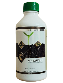 Metarhizium anisopliae liquid 1 ltr